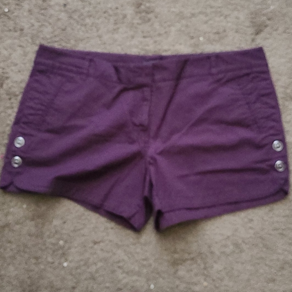 The Limited Pants - The Limited purple shorts